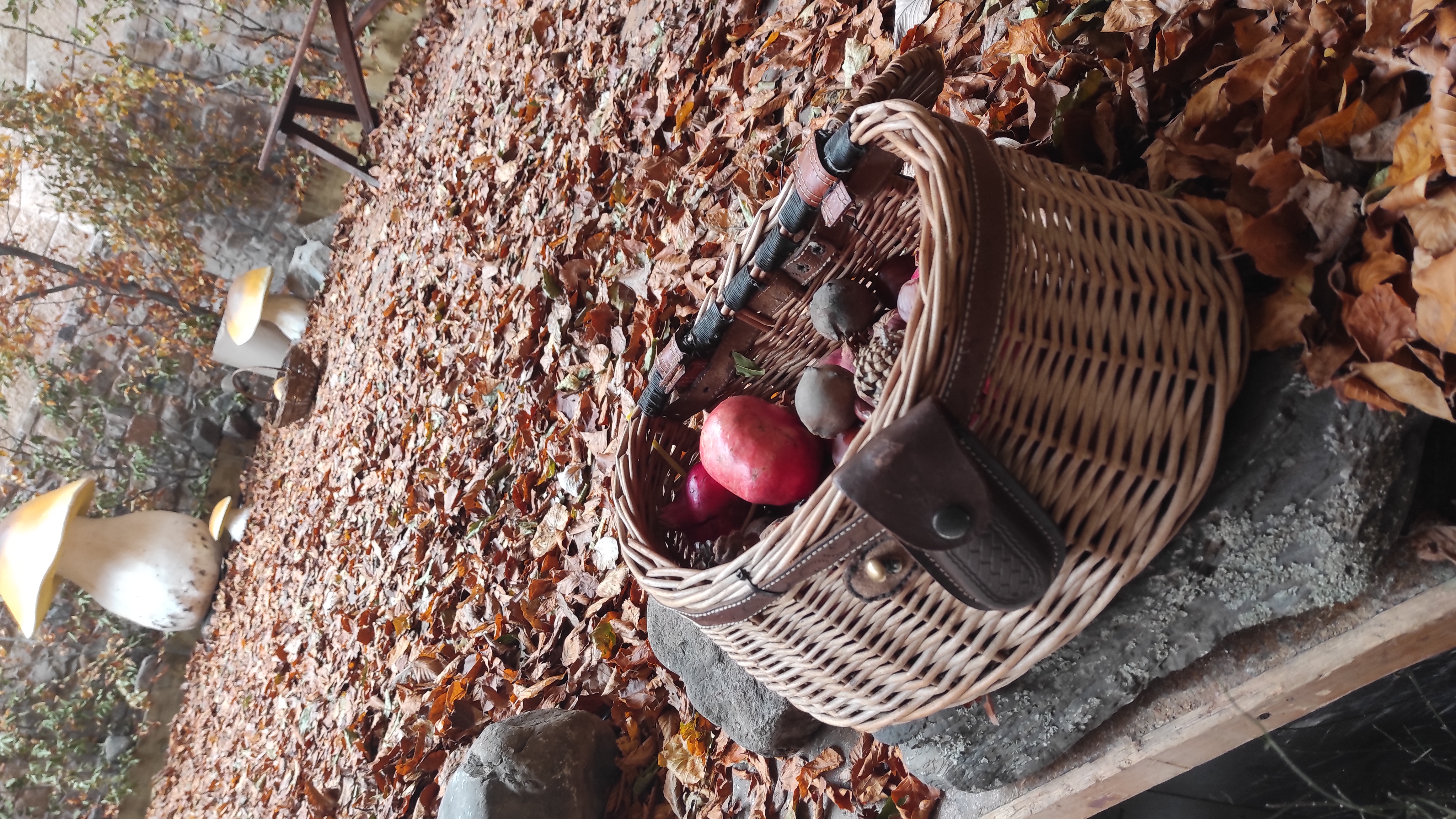 Copia de IMG_20251030_123648.jpg